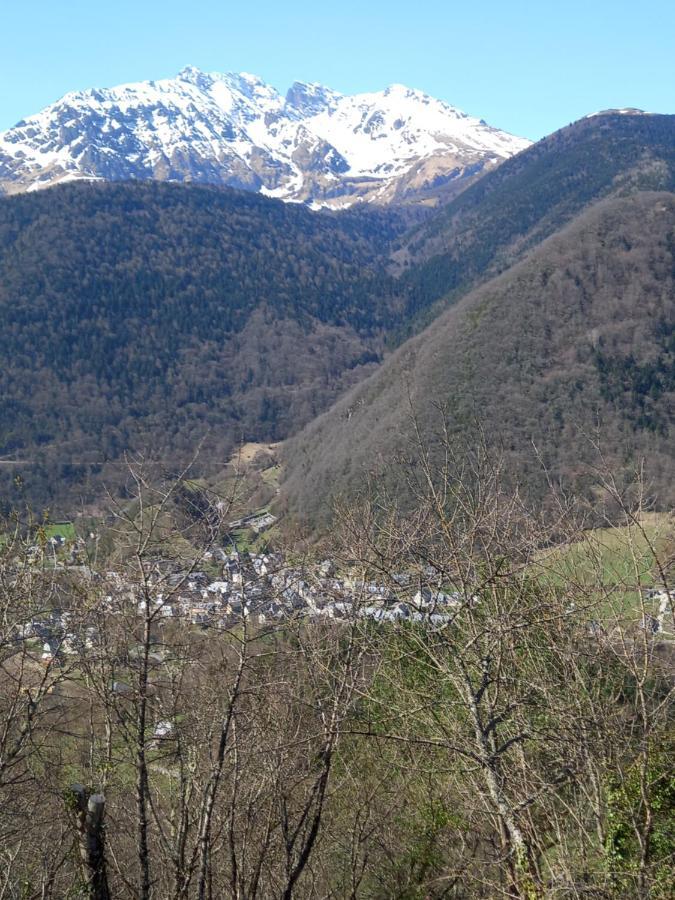 Appartement 2 A 4 Personnes Le Pyreneen A Arreau Carrefour Des Activites De Montagne Ngoại thất bức ảnh